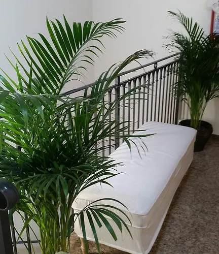 Casanova Fourrooms بيت ضيافة