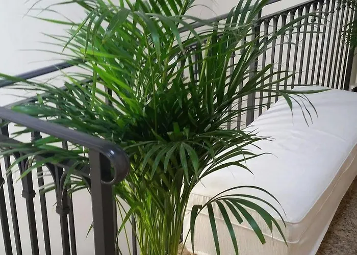 Casanova Fourrooms البندقية