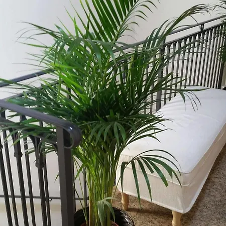 Casanova Fourrooms Benátky